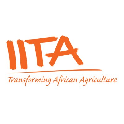 IITA IITA
